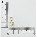 Pingente Estrela de Davi PP