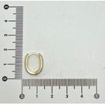 Brinco Argola Oval G