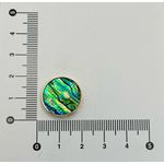 Pingente Redondo Abalone