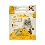  Kit Caixa Surpresa para Gatos 