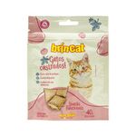  Kit Caixa Surpresa para Gatos 