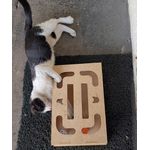 Brinquedo Interativo Gato Bolinha Guizo Terapia Anti Stress