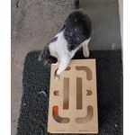 Brinquedo Interativo Gato Bolinha Guizo Terapia Anti Stress