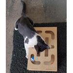 Brinquedo Interativo Gato Bolinha Guizo Terapia Anti Stress