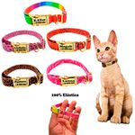 Coleira Anti Enforcamento para Gatos