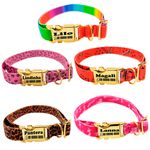 Coleira Anti Enforcamento para Gatos