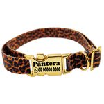Coleira Anti Enforcamento para Gatos