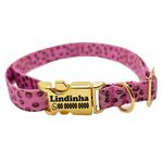 Coleira Anti Enforcamento para Gatos