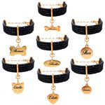 Gargantilha de strass pet com pingente metais na cor Dourado 