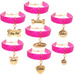 Gargantilha de strass pet com pingente metais na cor Dourado 