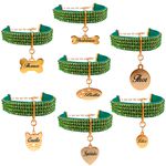 Gargantilha de strass pet com pingente metais na cor Dourado 