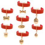 Gargantilha de strass pet com pingente metais na cor Dourado 