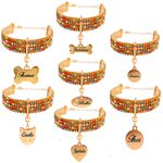 Gargantilha de strass pet com pingente metais na cor Dourado 
