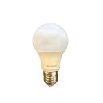 Lâmpada Bulbo Led 9w Branca 6500k Bivolt