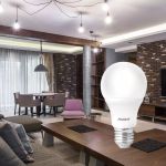Lâmpada Bulbo Led Pera 15w 6500k Branco Frio