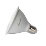 Lâmpada Led Par30 11w 6500k E-27 Bivolt