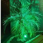 Luminária Espeto Jardim LED 5W Luz Verde Bivolt