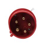 Plugue de Tomada Industrial 3P+T+N 32A 380-415V 6H IP44 Vermelho