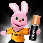 Pilha Palito Alcalina AAA² 2 unidades Duracell 