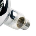 Lâmpada De Secagem Infravermelha Aquecimento 250W 220V