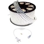 Mangueira Led Chata 6500k Branco Frio 25m 220v + Conector