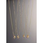 Colar Longo Inicial Diamante R Dou