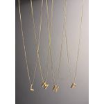 Colar Longo Inicial Diamante L Dou