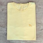 Camiseta ACT Amarelo DFC