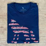 Camiseta ACT Azul DFC⭐