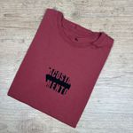 Camiseta ACT DFC⭐