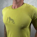 Camiseta ACT Verde DFC