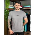 Camiseta Ellus Cinza DFC