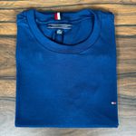 Camiseta TH Azul. 