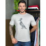 Camiseta RSV Cinza DFC 