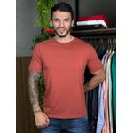 Camiseta CK Terracota DFC