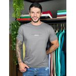 Camiseta CK Cinza DFC. 