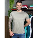 Camiseta Brooksfield