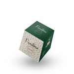 EMBALAGEM PANETONE FRUTAS - 10 UNIDADES