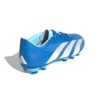Chuteira Adidas Predator Accuracy.4 Flexible Ground 