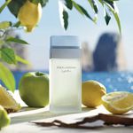 Perfume Feminino Light Blue Dolce & Gabbana Eau de Toilette 100ml