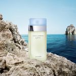 Perfume Feminino Light Blue Dolce & Gabbana Eau de Toilette 100ml