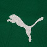 Camisa Puma Palmeiras HOME Torcedor 2025