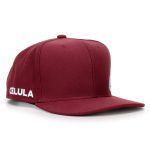 Boné Célula Snapback - Vinho