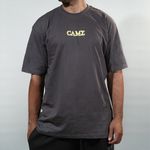 Camiseta Basic Logo 1.0 Grey