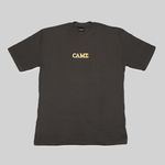 Camiseta Basic Logo 1.0 Grey