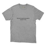 Camiseta Cinza Texto Bíblico (Daniel 12:12)