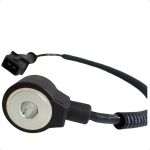 Sensor Detonação Doblo Palio Weekend Punto Strada Grand Siena Palio 1.6 1.8 16v E-torq Flex Original 55223460