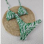 Conjunto Liz Zebra Verde