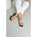 Sandália Rasteira Medalha Simples_3341- Preto 