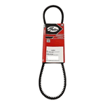 CORREIA 3VX 560 CONTINENTAL / GATES